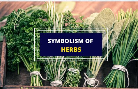 herbs symbolism